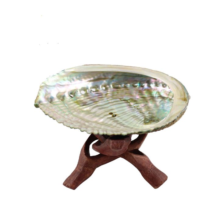 Purifying Dish, With Base, Abalone Shell, 4.3 inches (11 cm), White Sage Shells, For Purifying White Sage, Shells, Shell Plate, For Rough Stone Purification, Healing