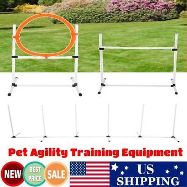 Dog  Training Equipment pets Obstacle Course Training Kit