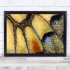 Fingerprint Designs Colours Pattern Texture Skin Wall Art Print