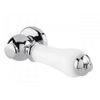 Ceramic Cistern Lever