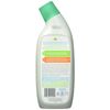 Plant Based Stain Remover Decalcifier Essential Oils 24.99 Fl Oz Recyclable