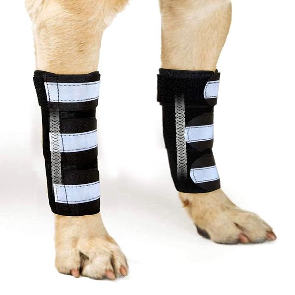 NeoAlly- Front Leg Brace for Dogs & Cats, Dog Leg Brace with Metal Spring Inserts, Dog Leg Sleeve for Carpal Support, Dog Leg Sleeve with Reflective Straps, Large to XL, 1 Pair