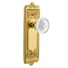 Nostalgic Warehouse 752488 Egg & Dart Double Dummy, Backset Size:, Polished Brass