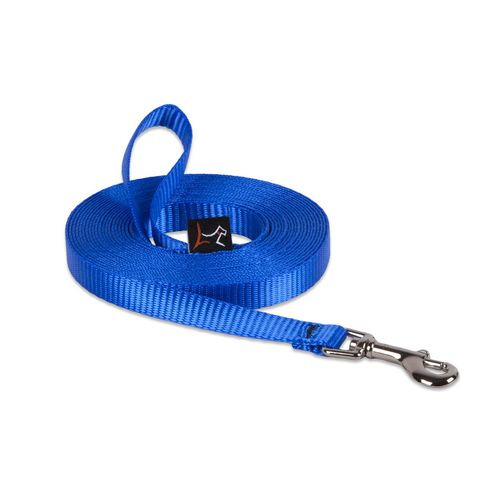 LupinePet Basics 1/2" Blue 30-foot Extra-Long Training Lead/Leash for Small Pets