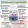 Jambu Bij Capsule