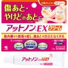 [2nd-Class OTC Drug] Attonon EX Cream 15g