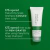 Shampoo by Philip Kingsley Flaky Itchy Scalp Shampoo 75ml