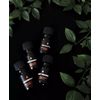 Way Of Will 100% Natural Elevate Essential Oils 4 Piece Gift Set