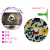 MARNA POCO K033 Garden Kitchen Sponge Refill Set of 2