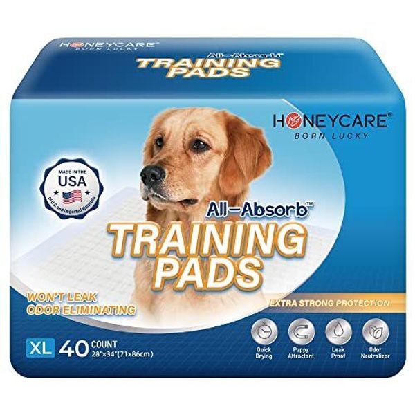 HONEY CARE All-Absorb, X-Large 28" x 34", 40 Count, Dog and Puppy Training Pads