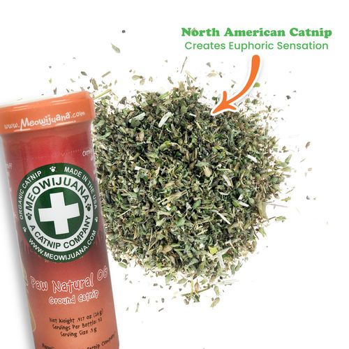 Meowijuana | Clawsome Bundle | Get Smoked Refillable Trout Toy and Paw Natural OG Catnip Blend | Promotes Play and Cat Health | Includes North American Organic Catnip
