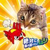 Petio Cat Toy Wild Mouse Little Red