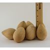 Dried Egg Gourds for Crafting box of 25