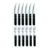 Amefa Steak Knives and Forks Server Set Black Set of 12