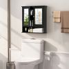 2 Door Wall-Mounted Bathroom Mirror Cabinet, Open Storage Shelf Adjustable Shelf
