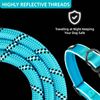 Heavy Duty Dog Leash Set - Reflective Collar, Adjustable Padded Nylon, Comfortable Handle, 5FT (Gray, Small)