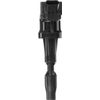 Delphi GN10914 Ignition Coil