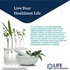 2 PACK Life Extension Lightly Caffeinated Mega Green Tea Extract 100 Veg Capsule