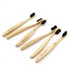Bamboo Eco Toothbrush - Biodegradable, Wavy Bristles, Large Handle - Plastic Free Packaging (6 Pack)