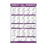 Exercise Ball Workout Poster - Stability Ball Routine - Balance Ball - Laminated - 18" x 24"