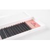 MODO LASH Sable 12 Rows False Eyelash Extensions D Curl 0.15 Thick (11mm)