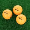 Honma Golf 2023D1 SPIN BTQ2301 0036 OG 3P OG