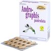 Andrographis Paniculata Capsules Pack of 60