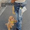 BeyonMind Pet Bottle Holder (Matcha)