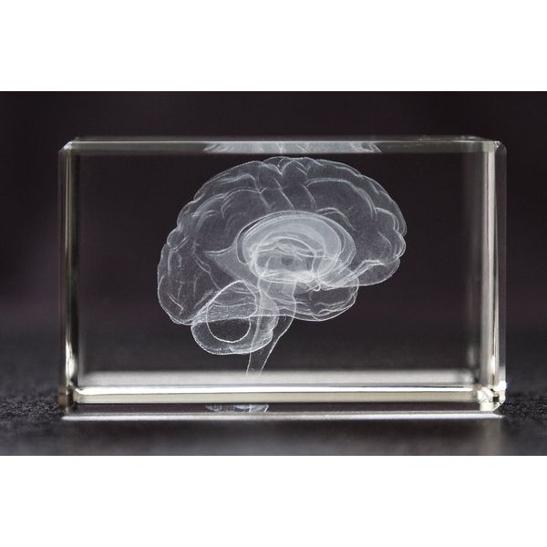 Brain 3D Laser 1lb Crystal with Brain Sticky Notepad, Anatomy, Neurology, Mind