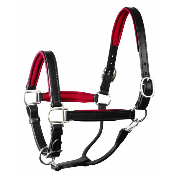Perri's Soft Padded Leather Halter, Black/Red, Cob