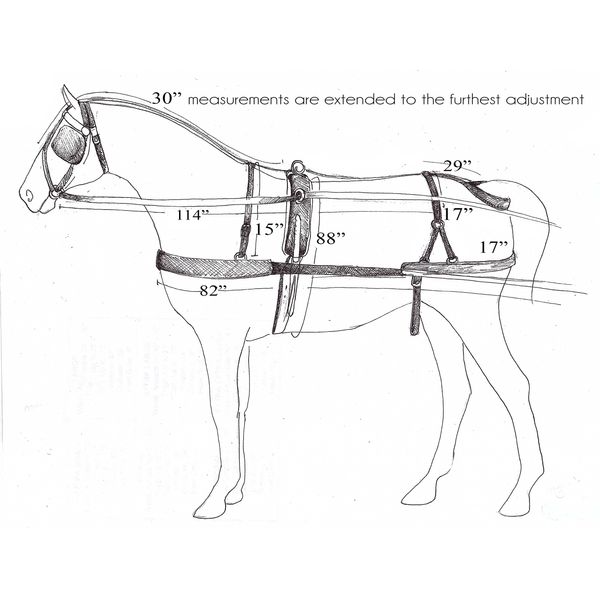 Medium to Large Pony Size Nylon Driving Harness Meant for Heavy Use