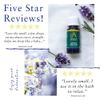 Absolute Aromas High Altitude Lavender Essential Oil 10ml