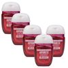 Bath & Body Works Japanese Cherry Blossom 5-Pack PocketBac Sanitizers Anti-Bacterial Hand Gel 1 Fl Oz