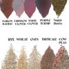 18 Lbs Food Plot Seed for Deer 10 Seed Blend Spring or Fall Planting 2.5 Acres