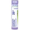 Boiron Caulophyllum Thalictroides 200Ck Homeopathic Medicine for Menstrual Cramps - 80 Pellets