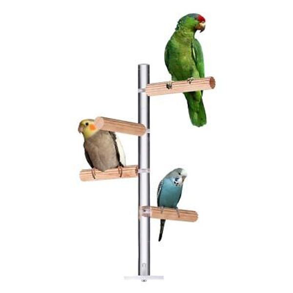 ® Natural Wood Bird Perch Stand with Acrylic Standing Pole Bird Standing Perc...