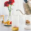 HARIO Simply Glass Tea Maker 400ml