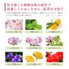 Hanaeimi Hand Cream March Cherry Blossom