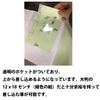 Kochi Binding Writing Book, Pocket Type, Bellows Type, Small Chrysanthemum (Navy)