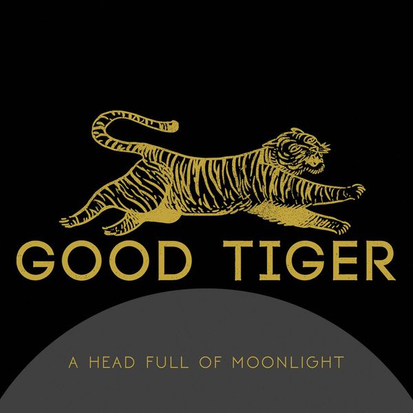 A Head Full Of Moonlight