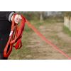 Maximum Pet Products 150ft/45m Red Dog Training Lead