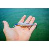 BOOYAH Flash Point Jerkbait - Canary - Shallow