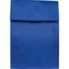 Cool Bag / Colour: Blue