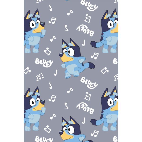 GAMER Fleece Blanket - Official Licensed Designs - Bed Throw Super Soft Blanket - 100 x 150cm (Bluey)