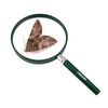 Carson BigEye Magnifier with Over-sized 5-Inch Lens (HU-20)