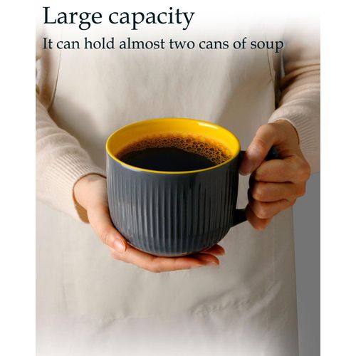 NUTRIUPS Soup Bowls with Handles, 900ml Microwave Soup Bowl with Lid, Soup Mug with Handles, Bowl for Ramen, Noodle, Porridge (Grey)