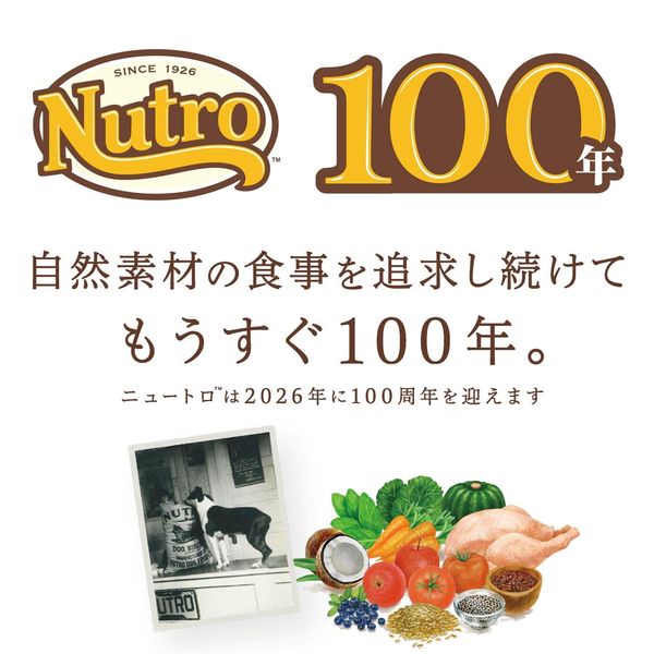 Nutro Nutro Melting Chicken 4-Pack Cat Treats