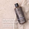 Urtekram Rasul Shampoo Organic Volume for Fine or Oily Hair 500 ml