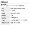 Kiso Hinoki 20ml Hinoki Incent Essential Oil Essential Oil
