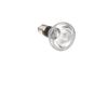 Komodo Basking Spot Lamp ES, 75 Watt